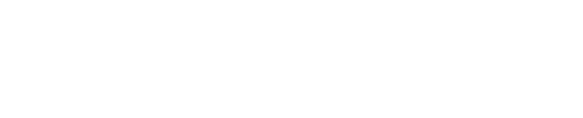 MASSIVE Consultoría y Desarrollo SAP Business One